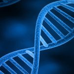 Study Illuminates the Genetic Architecture of Bipolar Disorder