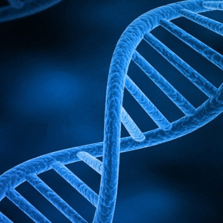 Study Illuminates the Genetic Architecture of Bipolar Disorder